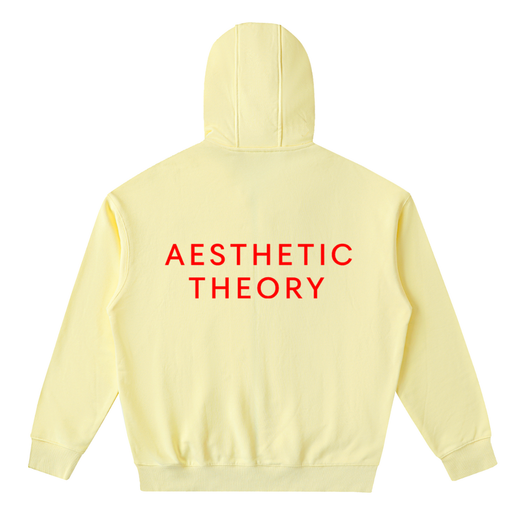 AESTHETIC THEORY UNISEX HOODIE
