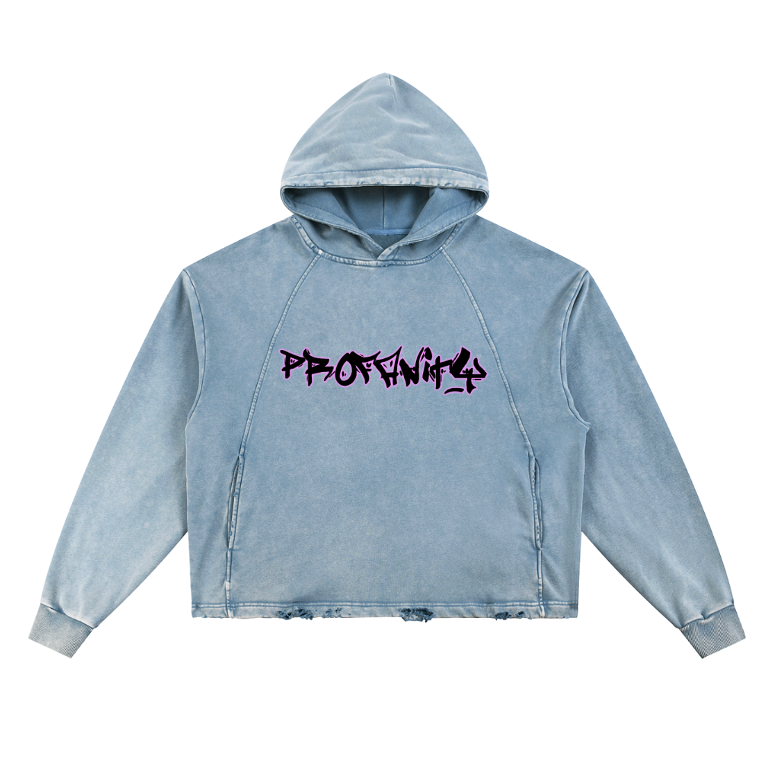 PROFANITY DISTRESS HOODIE
